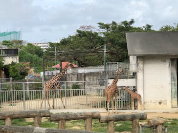 沖縄こどもの国に投稿された画像（2021/5/7）