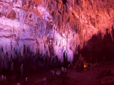 おきなわワールドに投稿された画像（2021/5/7）