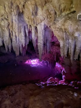 おきなわワールドに投稿された画像（2021/5/7）