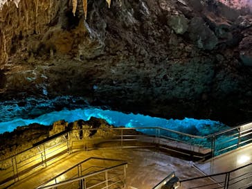 おきなわワールドに投稿された画像（2021/5/7）