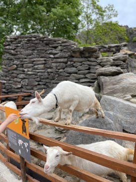 長崎バイオパークに投稿された画像（2021/5/7）