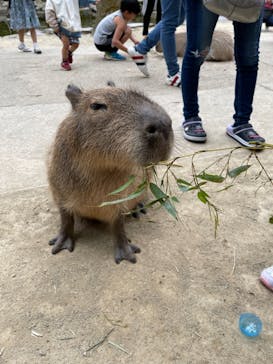 長崎バイオパークに投稿された画像（2021/5/7）