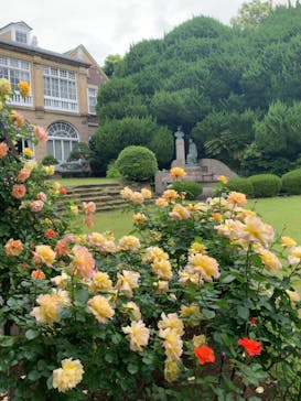 鳩山会館に投稿された画像（2021/5/7）
