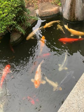 鳩山会館に投稿された画像（2021/5/7）