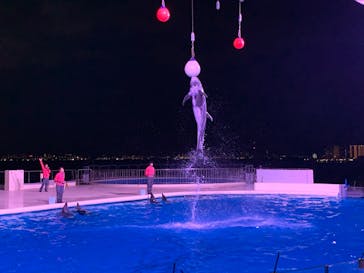 マリンワールド海の中道に投稿された画像（2021/5/7）