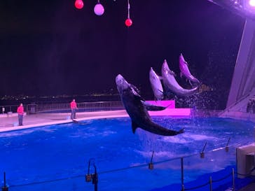 マリンワールド海の中道に投稿された画像（2021/5/7）