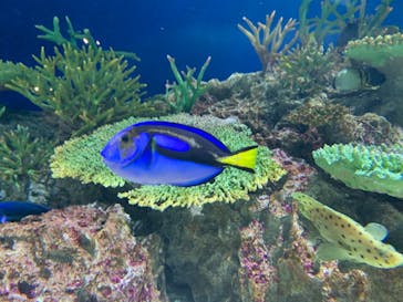 マリンワールド海の中道に投稿された画像（2021/5/7）