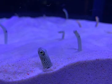 マリンワールド海の中道に投稿された画像（2021/5/7）