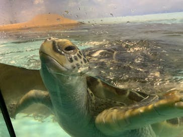 マリンワールド海の中道に投稿された画像（2021/5/7）