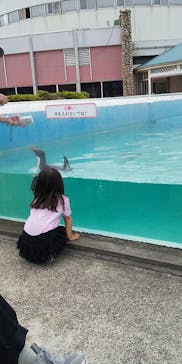 京急油壺マリンパークに投稿された画像（2021/5/8）