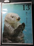 鳥羽水族館に投稿された画像（2021/5/8）