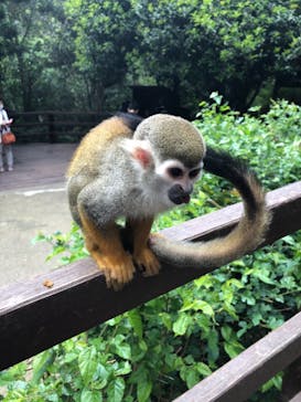 長崎バイオパークに投稿された画像（2021/5/8）