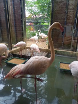 ネオパークオキナワに投稿された画像（2021/5/4）