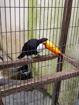 ネオパークオキナワに投稿された画像（2021/5/4）