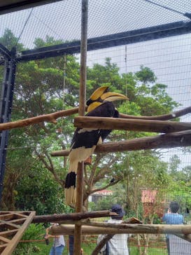 ネオパークオキナワに投稿された画像（2021/5/4）