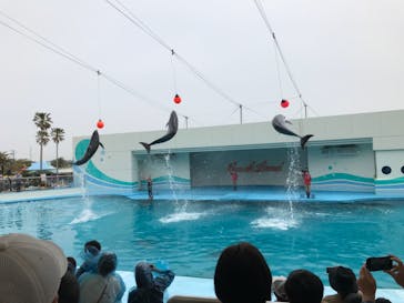 南知多ビーチランド＆南知多おもちゃ王国に投稿された画像（2021/5/8）