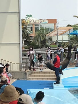 南知多ビーチランド＆南知多おもちゃ王国に投稿された画像（2021/5/8）