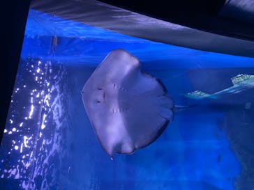 横浜・八景島シーパラダイスに投稿された画像（2021/5/8）