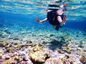 西表島 ADVENTURE PiPi（アドベンチャーピピ）に投稿された画像（2021/5/8）