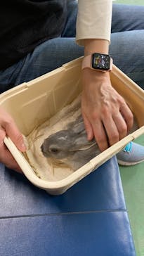 東武動物公園に投稿された画像（2021/5/8）