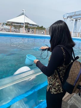 横浜・八景島シーパラダイスに投稿された画像（2021/5/8）