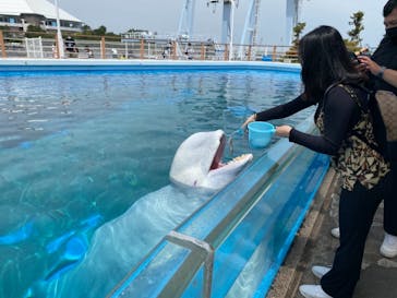 横浜・八景島シーパラダイスに投稿された画像（2021/5/8）