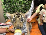 しろとり動物園に投稿された画像（2021/5/8）