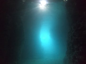 武藤潜水に投稿された画像（2021/5/8）