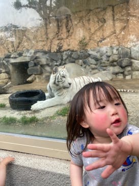 東武動物公園に投稿された画像（2021/5/8）