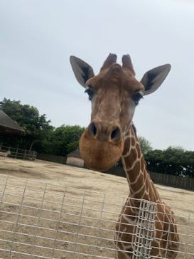 東武動物公園に投稿された画像（2021/5/8）