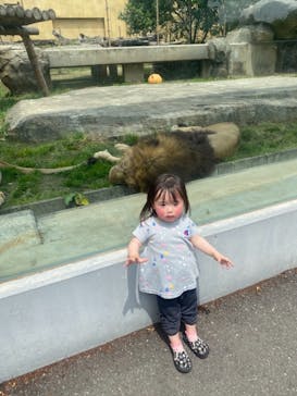 東武動物公園に投稿された画像（2021/5/8）