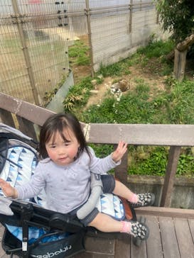 東武動物公園に投稿された画像（2021/5/8）