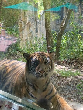 よこはま動物園ズーラシアに投稿された画像（2021/5/8）