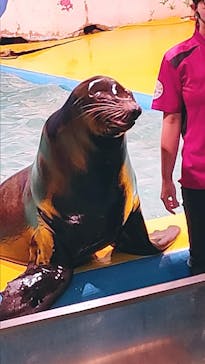 ゼロ距離水族館 伊勢シーパラダイスに投稿された画像（2021/5/8）