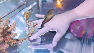 ゼロ距離水族館 伊勢シーパラダイスに投稿された画像（2021/5/8）