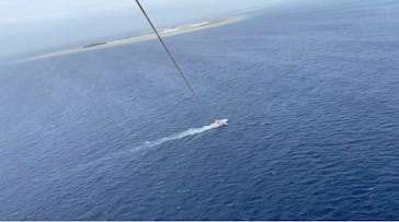 Sea World（シーワールド）に投稿された画像（2021/5/8）