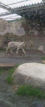 東武動物公園に投稿された画像（2021/5/8）