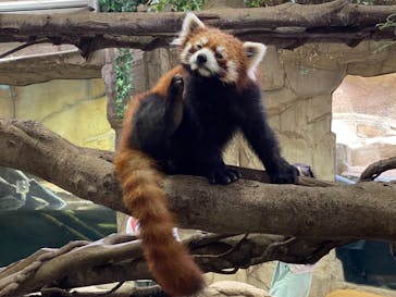 那須どうぶつ王国に投稿された画像（2021/5/8）