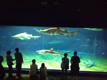 アクアワールド茨城県大洗水族館に投稿された画像（2021/5/8）