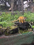 伊豆シャボテン動物公園に投稿された画像（2021/5/8）