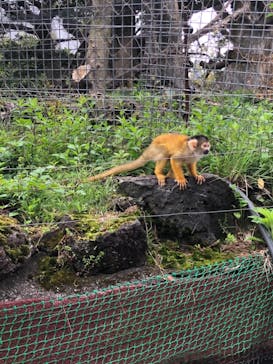 伊豆シャボテン動物公園に投稿された画像（2021/5/8）