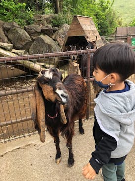 伊豆シャボテン動物公園に投稿された画像（2021/5/8）