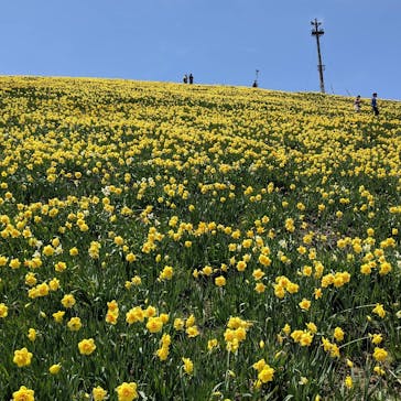 びわ湖バレイに投稿された画像（2021/5/9）