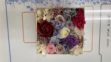 ずこうしつ〜sugamo〜に投稿された画像（2021/5/9）