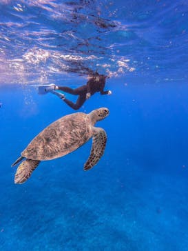 西表島 ADVENTURE PiPi（アドベンチャーピピ）に投稿された画像（2021/5/9）