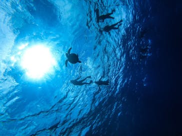 西表島 ADVENTURE PiPi（アドベンチャーピピ）に投稿された画像（2021/5/9）