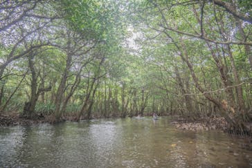 西表島 ADVENTURE PiPi（アドベンチャーピピ）に投稿された画像（2021/5/9）