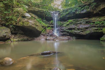 西表島 ADVENTURE PiPi（アドベンチャーピピ）に投稿された画像（2021/5/9）