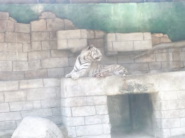 東武動物公園に投稿された画像（2021/5/9）