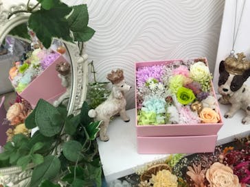 ずこうしつ〜sugamo〜に投稿された画像（2021/5/9）